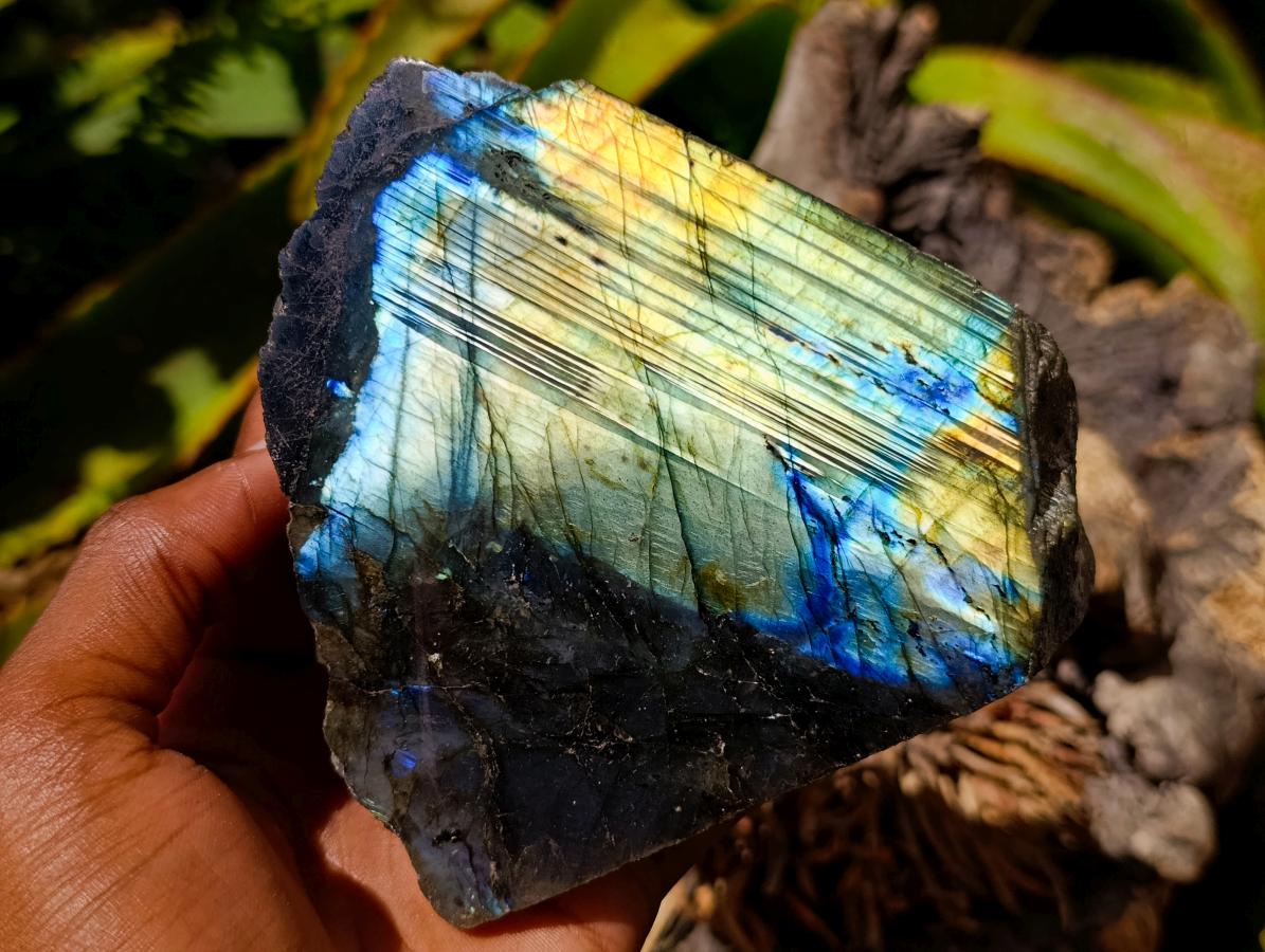 Polished One Side Labradorite Display Pieces x 3 From Madagascar