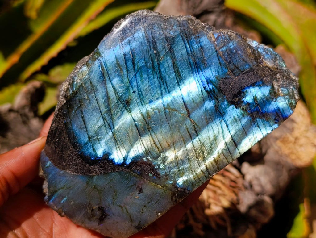 Polished One Side Labradorite Display Pieces x 3 From Madagascar
