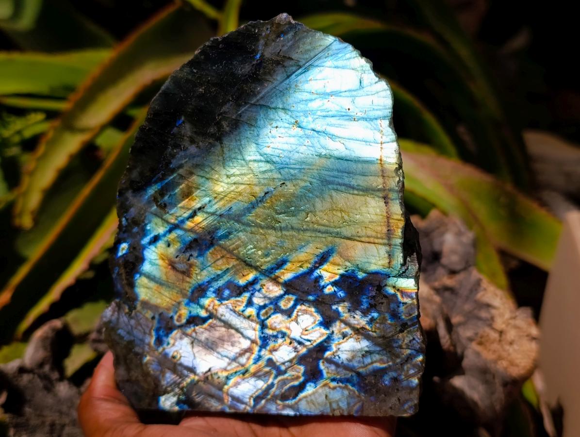 Polished One Side Labradorite Display Pieces x 3 From Madagascar