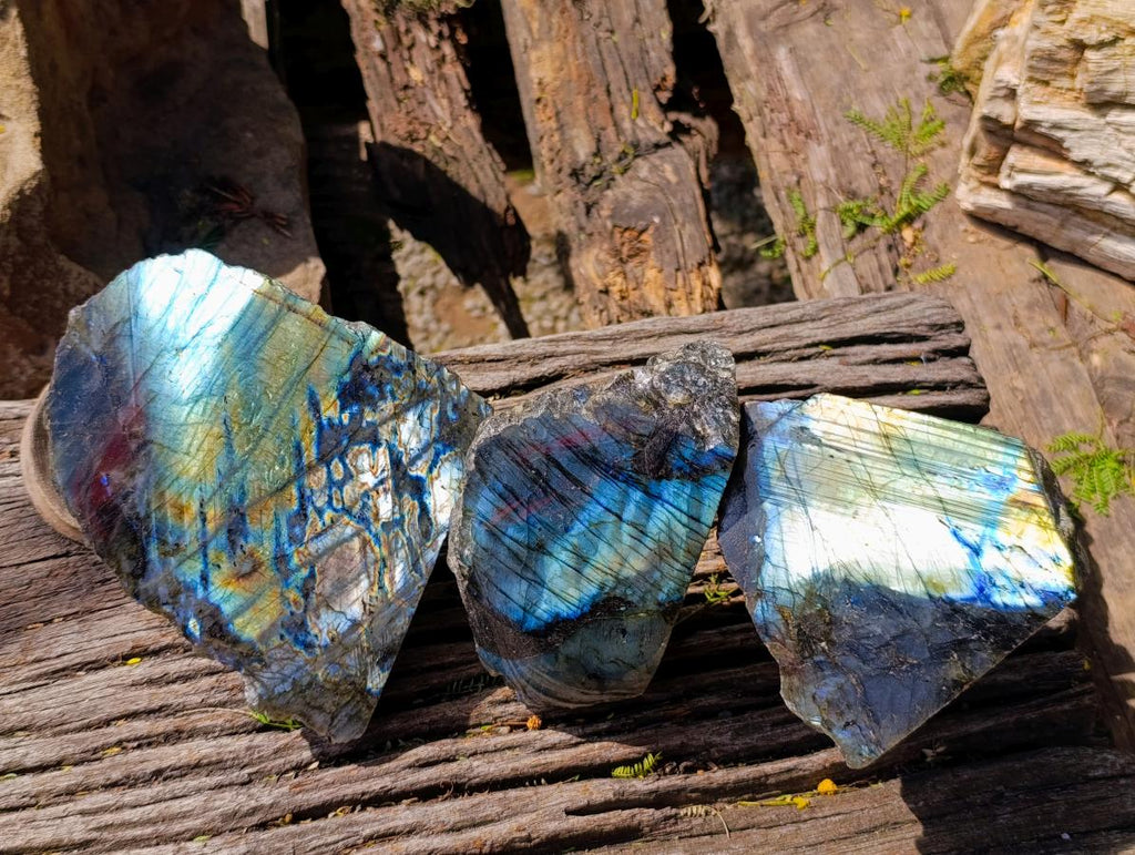 Polished One Side Labradorite Display Pieces x 3 From Madagascar