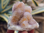 Natural Mixed Spirit Quartz Crystals and Clusters x 12 From Boekenhouthoek, South Africa
