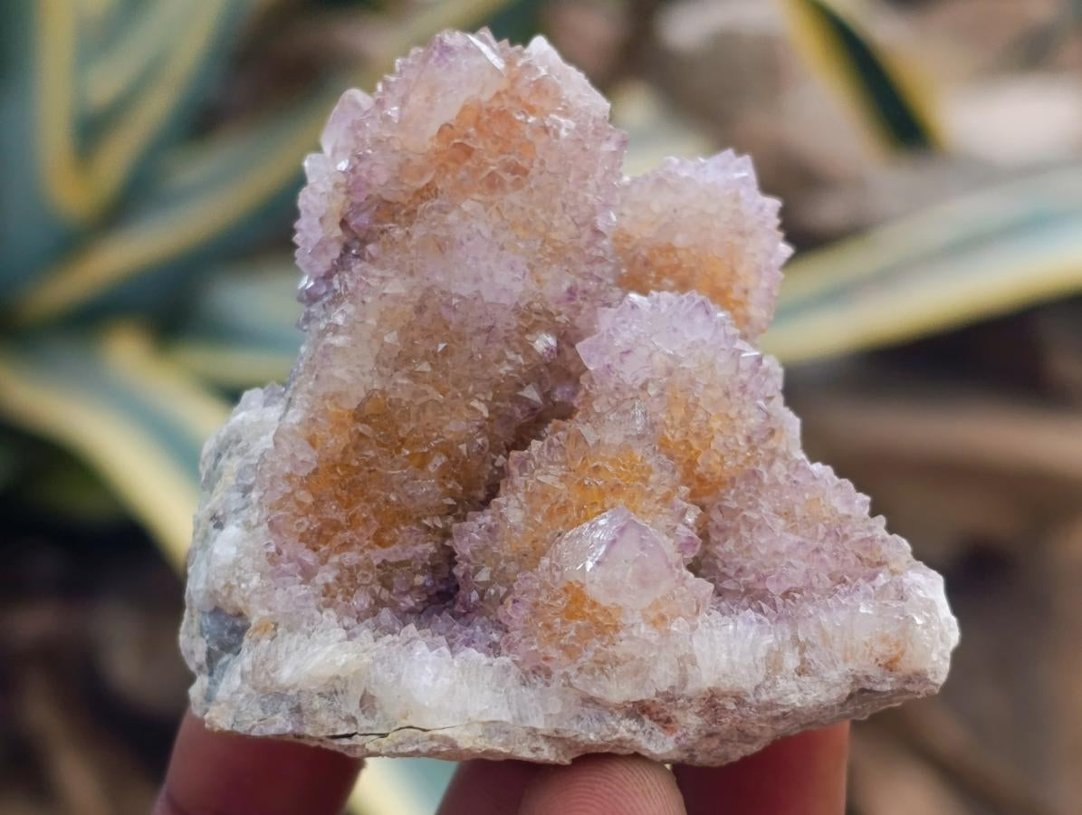 Natural Mixed Spirit Quartz Crystals and Clusters x 12 From Boekenhouthoek, South Africa
