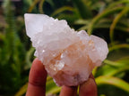 Natural Mixed Spirit Quartz Crystals and Clusters x 12 From Boekenhouthoek, South Africa