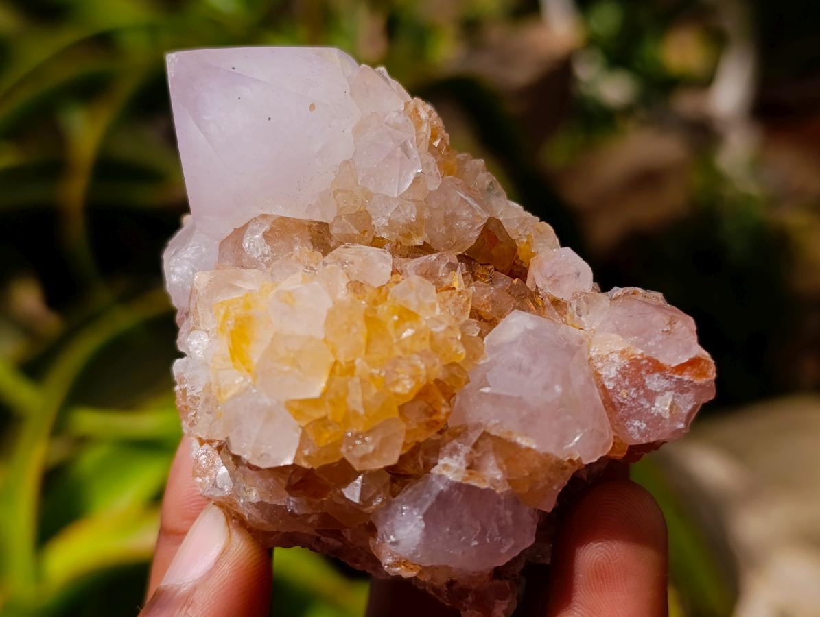 Natural Mixed Spirit Quartz Crystals and Clusters x 12 From Boekenhouthoek, South Africa