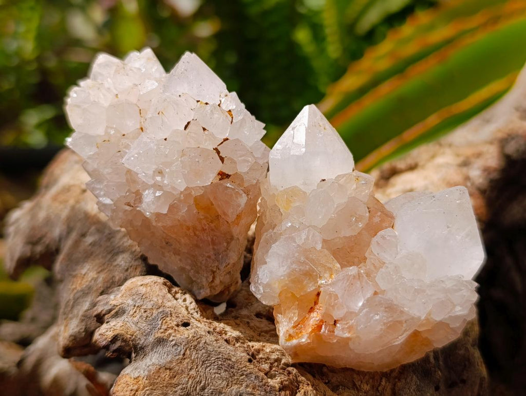 Natural Mixed Spirit Quartz Crystals and Clusters x 12 From Boekenhouthoek, South Africa