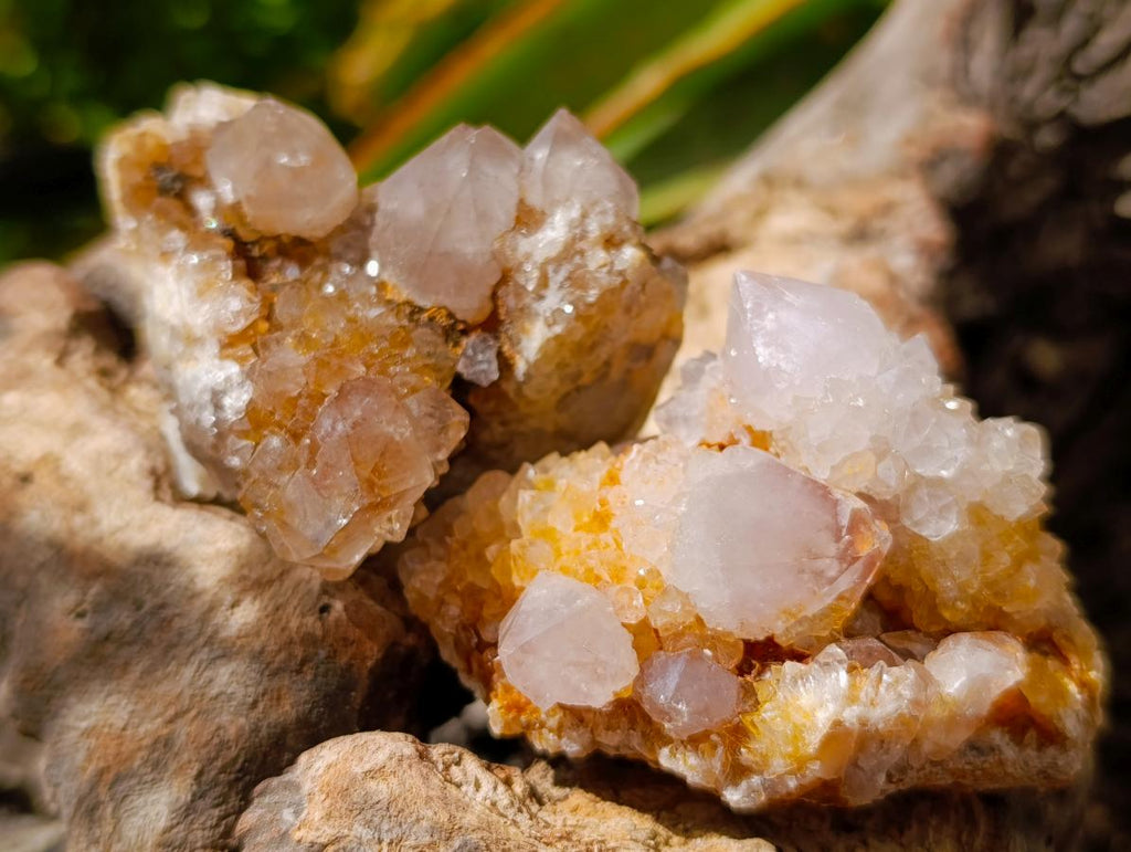 Natural Mixed Spirit Quartz Crystals and Clusters x 12 From Boekenhouthoek, South Africa