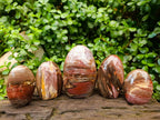Polished Red Podocarpus Petrified Wood Standing Free Forms x 5 From Mahajanga, Madagascar