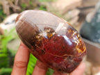 Polished Red Podocarpus Petrified Wood Standing Free Forms x 5 From Mahajanga, Madagascar