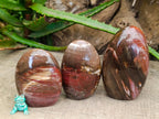 Polished Red Podocarpus Petrified Wood Standing Free Forms x 5 From Mahajanga, Madagascar