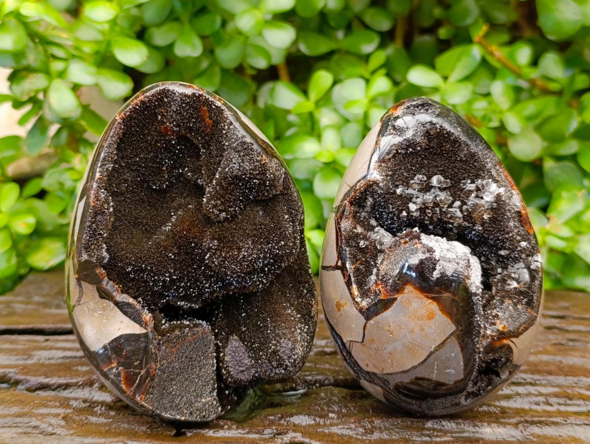 Polished Septerye Sauvage "Dragons Egg" Geodes x 2 From Mahajanga, Madagascar
