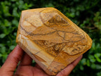 Polished Picture Stone Jasper Display Crystals x 2 From Ais-Ais, Namibia