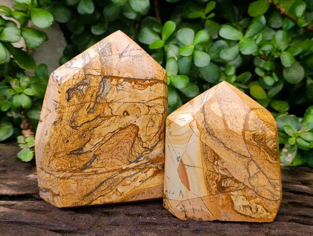 Polished Picture Stone Jasper Display Crystals x 2 From Ais-Ais, Namibia
