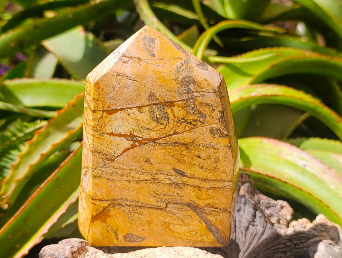 Polished Picture Stone Jasper Display Crystals x 2 From Ais-Ais, Namibia