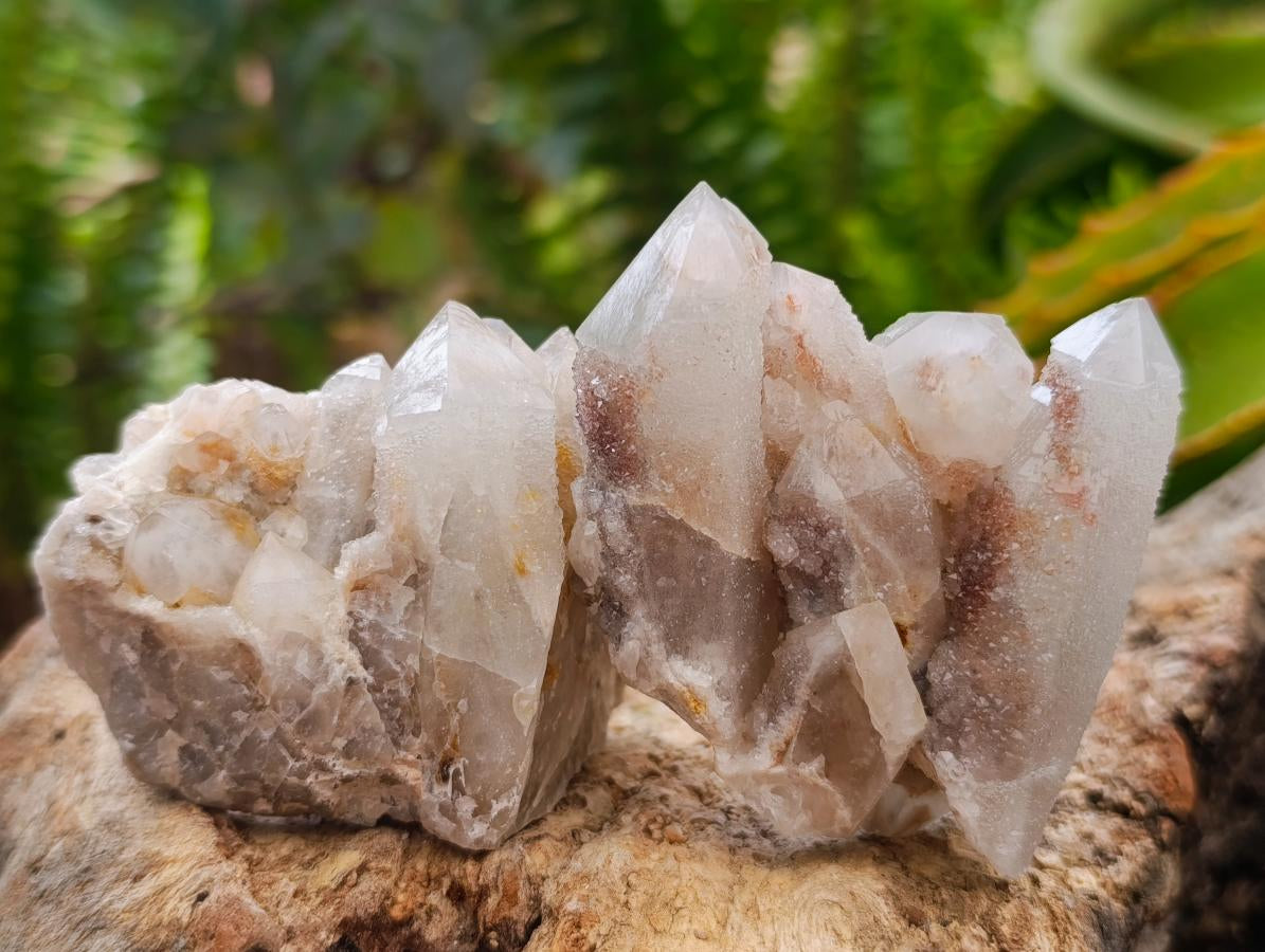 Natural Mixed Spirit Quartz Crystals And Clusters x 24 From Boekenhouthoek, South Africa