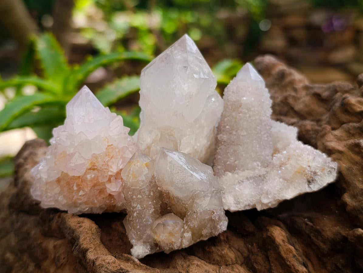 Natural Mixed Spirit Quartz Crystals And Clusters x 24 From Boekenhouthoek, South Africa