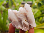 Natural Mixed Spirit Quartz Crystals And Clusters x 24 From Boekenhouthoek, South Africa