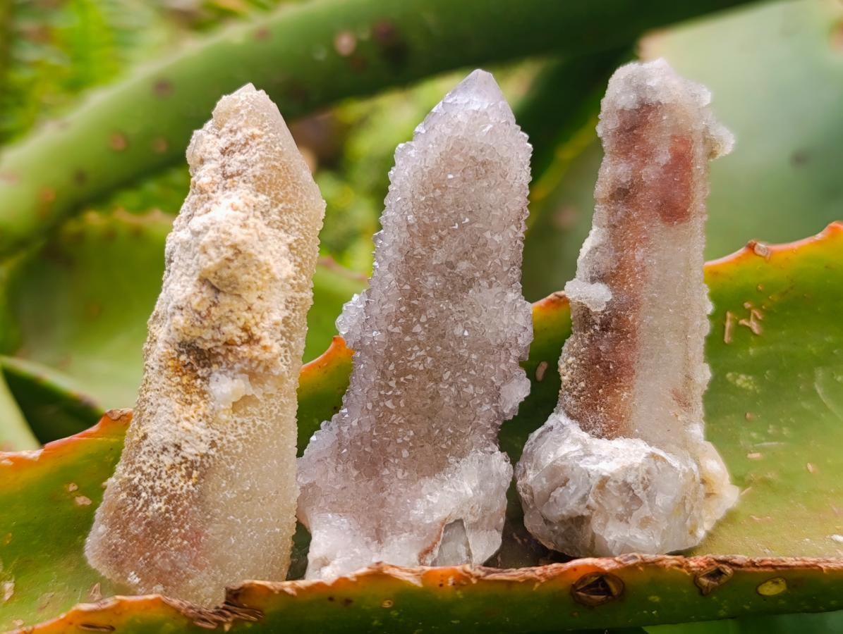 Natural Mixed Spirit Quartz Crystals And Clusters x 24 From Boekenhouthoek, South Africa