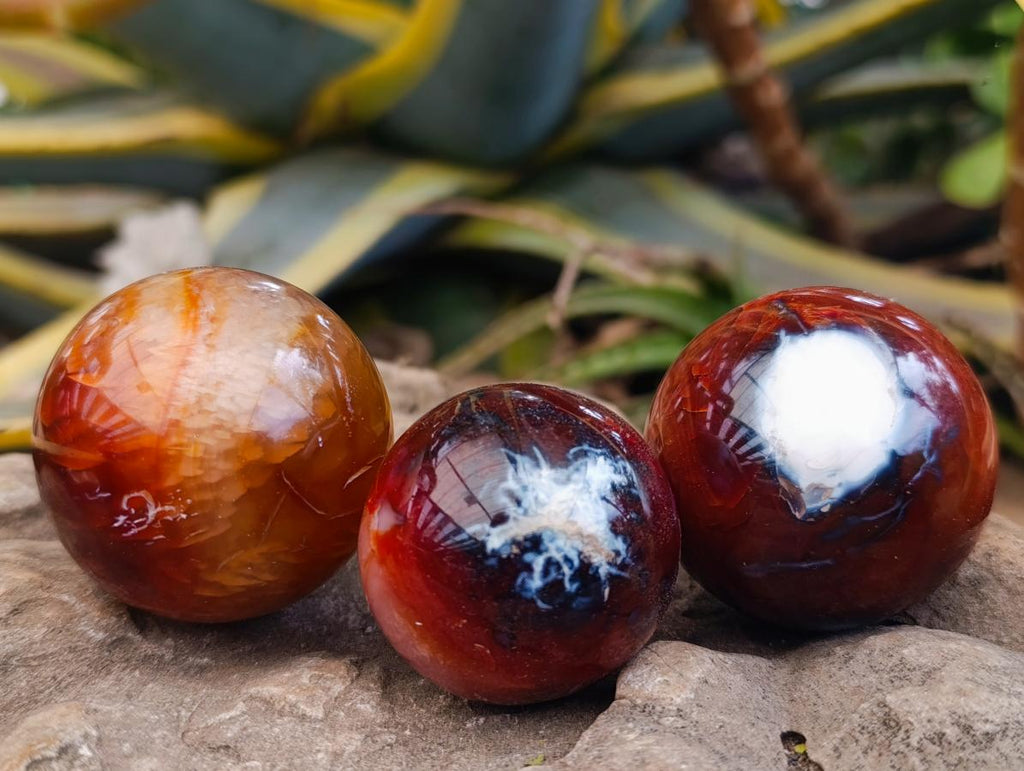 Polished Carnelian Agate Gemstone Spheres x 12 From Madagascar