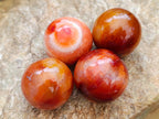 Polished Carnelian Agate Gemstone Spheres x 12 From Madagascar