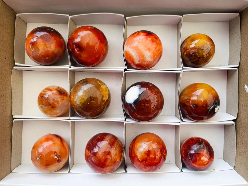 Polished Carnelian Agate Gemstone Spheres x 12 From Madagascar