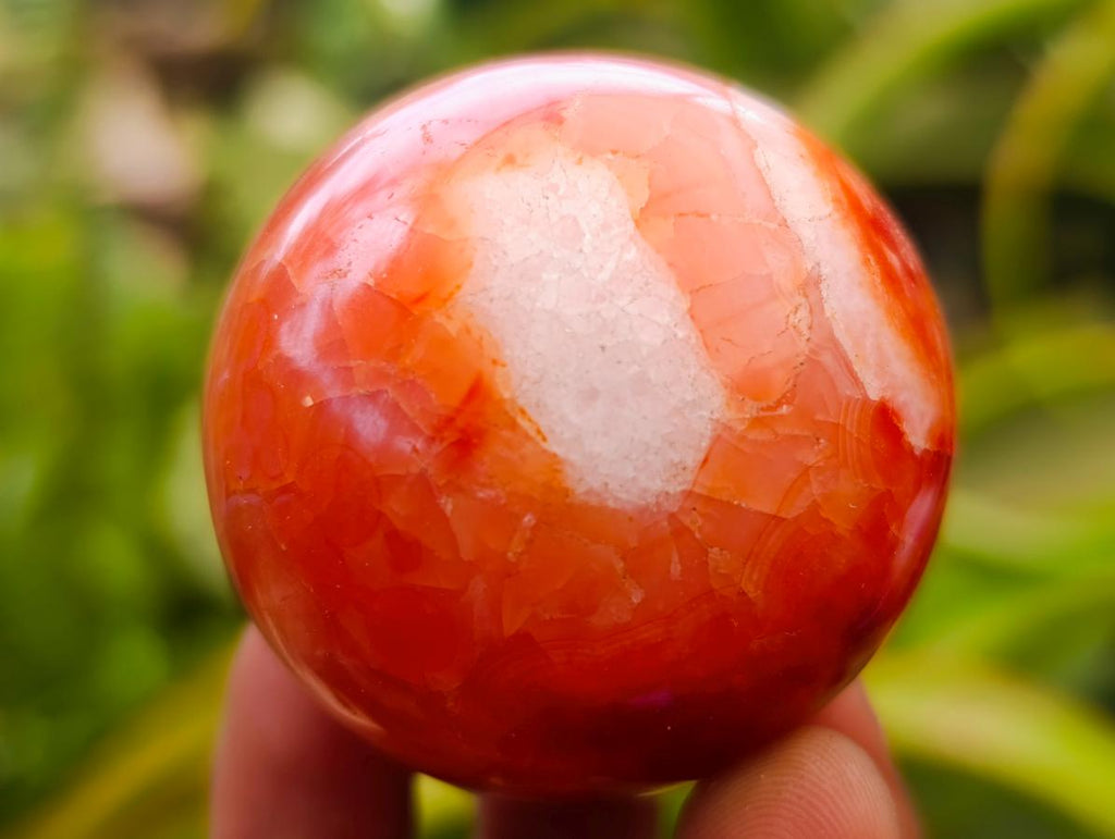 Polished Carnelian Agate Gemstone Spheres x 12 From Madagascar