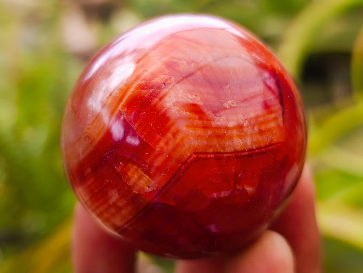 Polished Carnelian Agate Gemstone Spheres x 12 From Madagascar