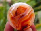 Polished Carnelian Agate Gemstone Spheres x 12 From Madagascar