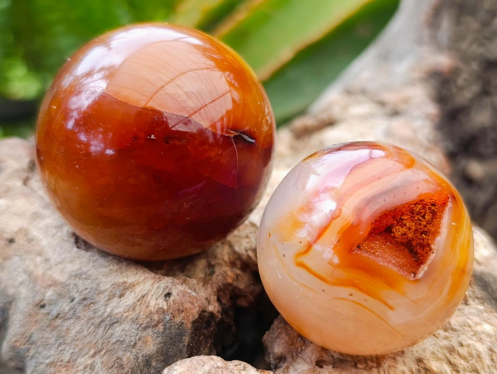 Polished Carnelian Agate Gemstone Spheres x 12 From Madagascar