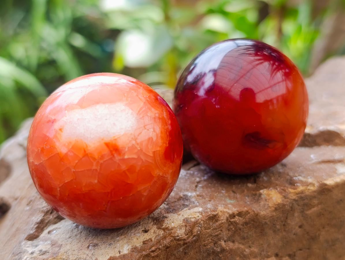 Polished Carnelian Agate Gemstone Spheres x 12 From Madagascar