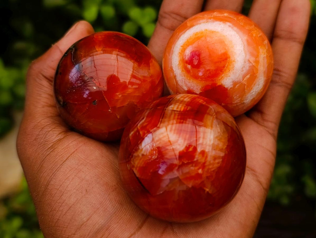 Polished Carnelian Agate Gemstone Spheres x 12 From Madagascar
