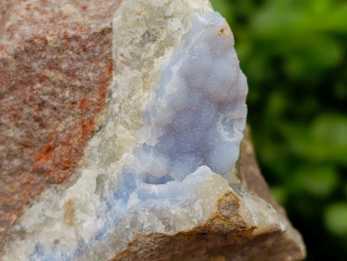 Natural Large Blue Lace Agate Geode Specimen x 1 From Nsanje, Malawi