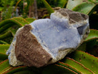 Natural Large Blue Lace Agate Geode Specimen x 1 From Nsanje, Malawi