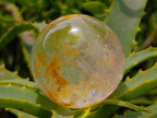 Polished Smokey and Clear Quartz Spheres x 8 From Madagascar