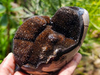 Polished Septerye Sauvage "Dragons Egg" Geodes x 3 From Mahajanga, Madagascar
