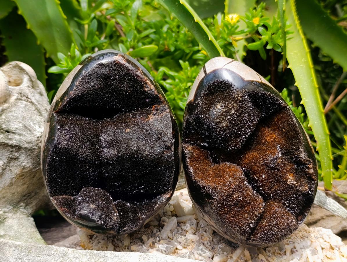 Polished Septerye Sauvage "Dragons Egg" Geodes x 3 From Mahajanga, Madagascar