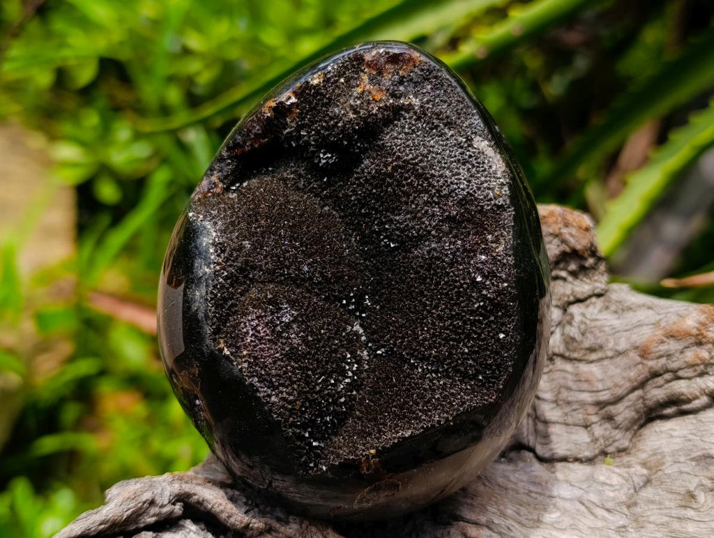 Polished Septerye Sauvage "Dragons Egg" Geodes x 3 From Mahajanga, Madagascar
