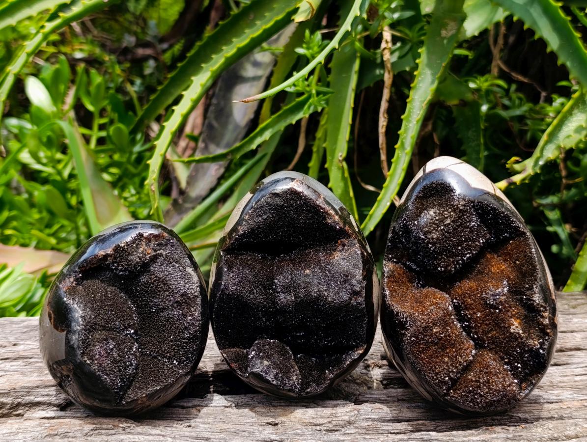 Polished Septerye Sauvage "Dragons Egg" Geodes x 3 From Mahajanga, Madagascar