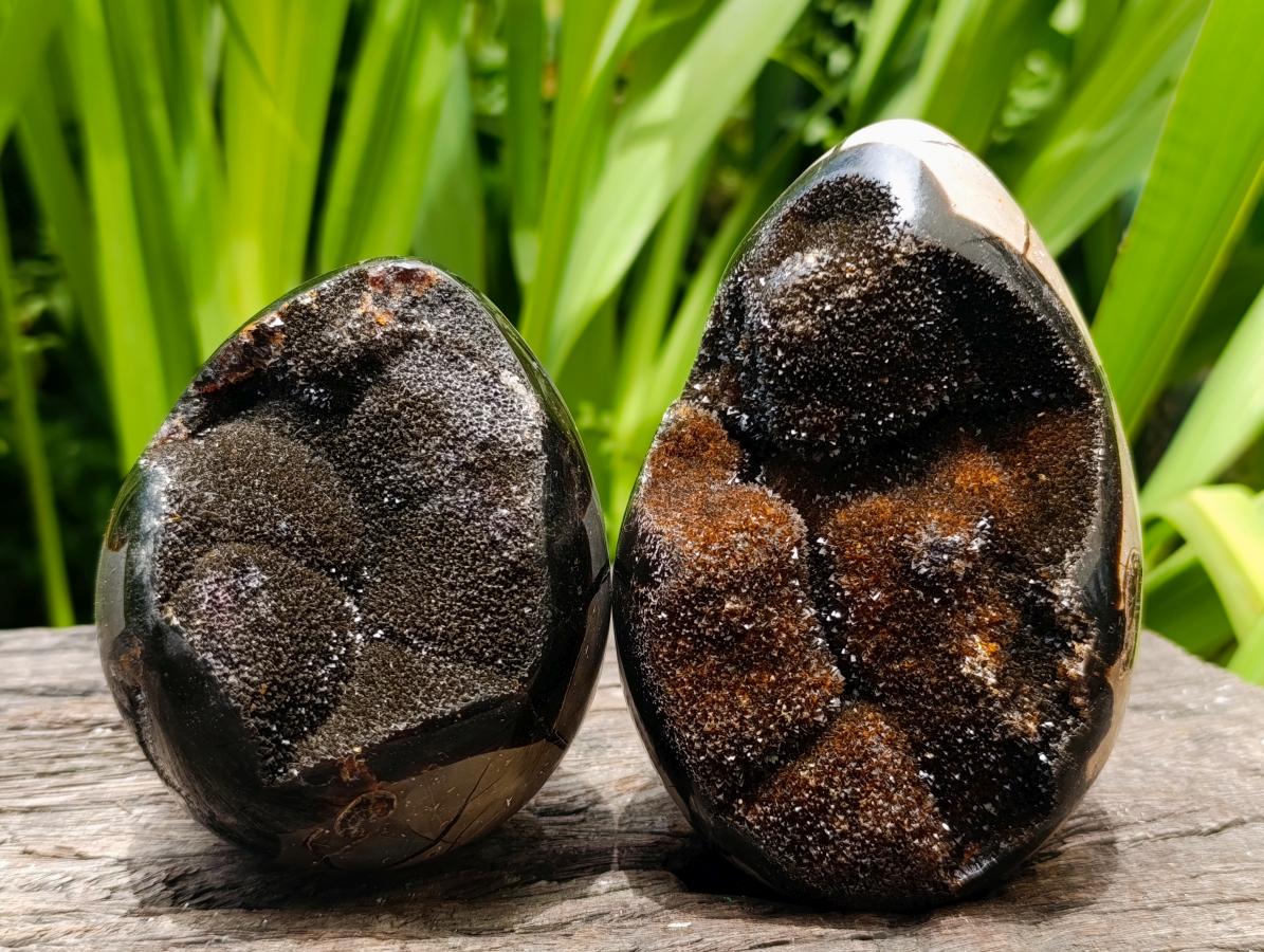 Polished Septerye Sauvage "Dragons Egg" Geodes x 3 From Mahajanga, Madagascar