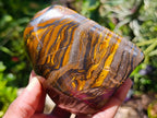 Polished Golden Tigers Eye With Banded Iron Stone Standing Free Forms x 2 From Prieska, South Africa