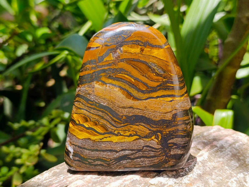 Polished Golden Tigers Eye With Banded Iron Stone Standing Free Forms x 2 From Prieska, South Africa