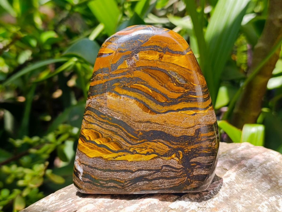 Polished Golden Tigers Eye With Banded Iron Stone Standing Free Forms x 2 From Prieska, South Africa