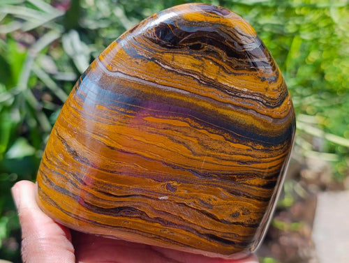 Polished Golden Tigers Eye With Banded Iron Stone Standing Free Forms x 2 From Prieska, South Africa