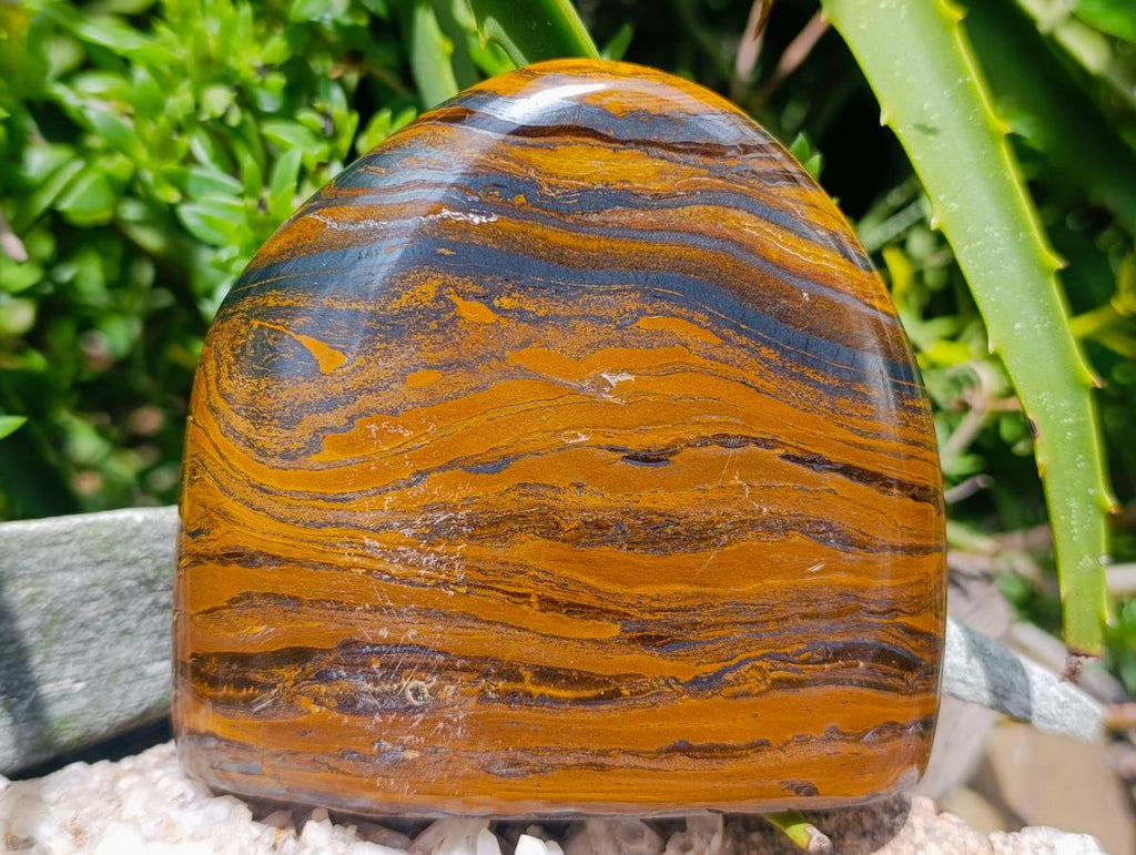 Polished Golden Tigers Eye With Banded Iron Stone Standing Free Forms x 2 From Prieska, South Africa