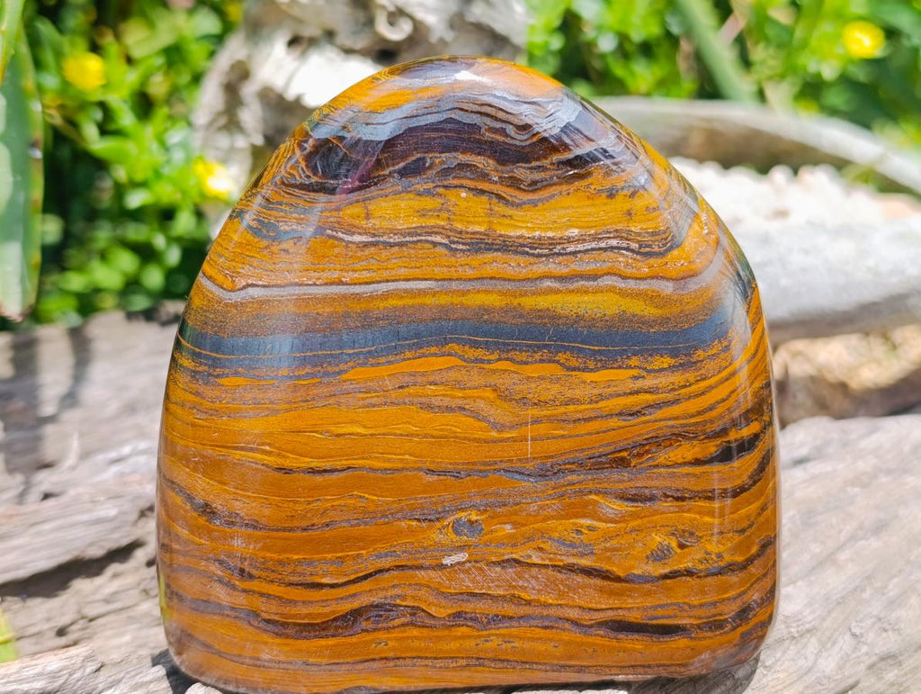 Polished Golden Tigers Eye With Banded Iron Stone Standing Free Forms x 2 From Prieska, South Africa