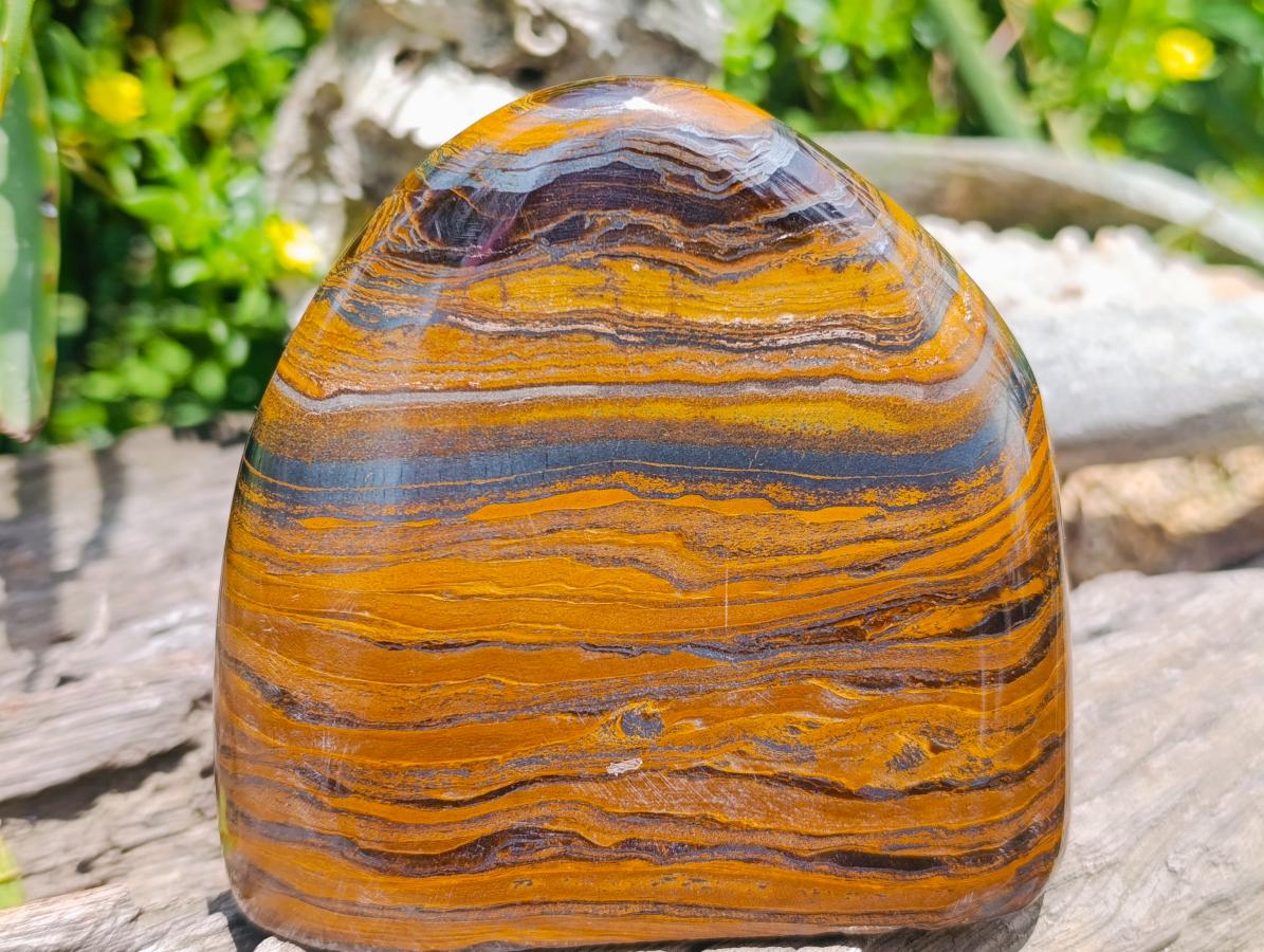 Polished Golden Tigers Eye With Banded Iron Stone Standing Free Forms x 2 From Prieska, South Africa