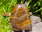 Polished Golden Tigers Eye With Banded Iron Stone Standing Free Forms x 2 From Prieska, South Africa