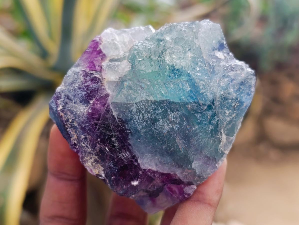 Natural Watermelon Fluorite Cobbed Specimens x 24 From Uis, Namibia