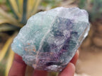 Natural Watermelon Fluorite Cobbed Specimens x 24 From Uis, Namibia