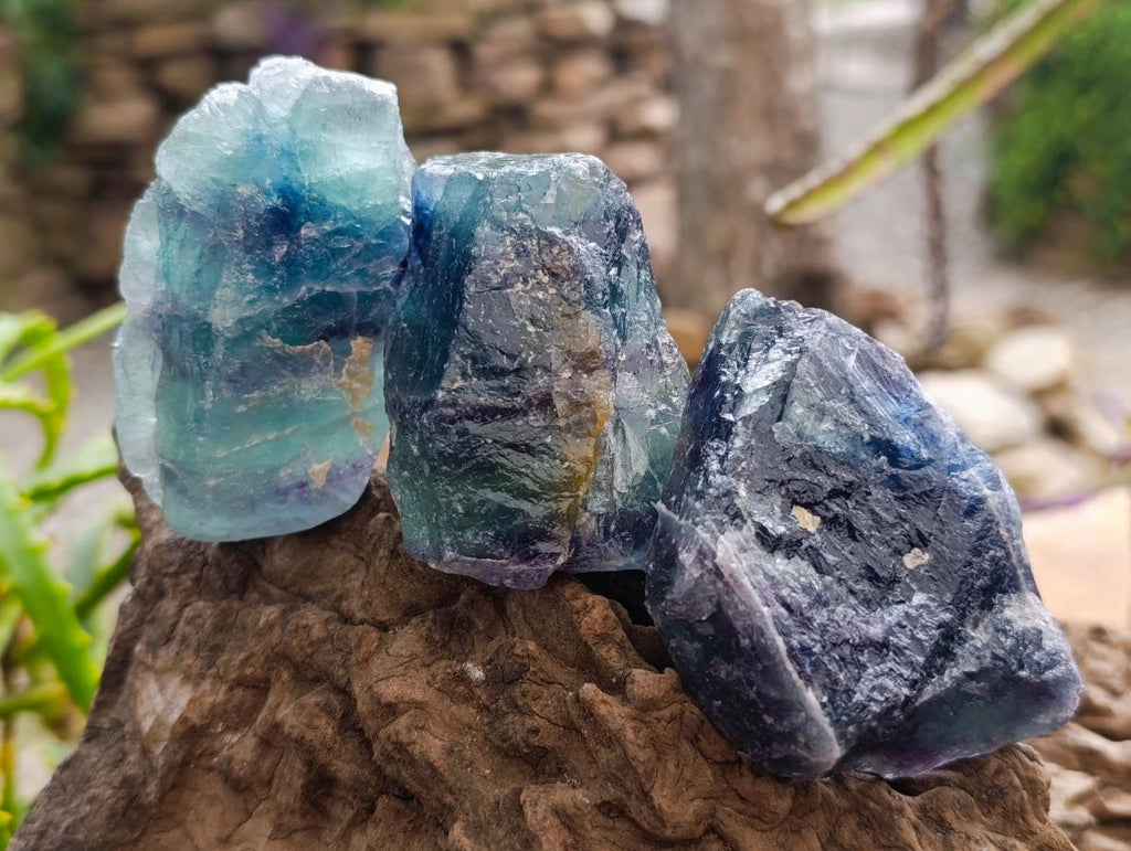 Natural Watermelon Fluorite Cobbed Specimens x 24 From Uis, Namibia
