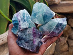 Natural Watermelon Fluorite Cobbed Specimens x 24 From Uis, Namibia